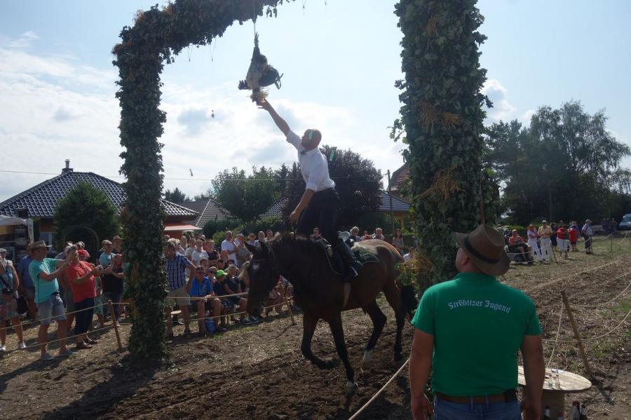 Foto des Albums: Erntefest 2018