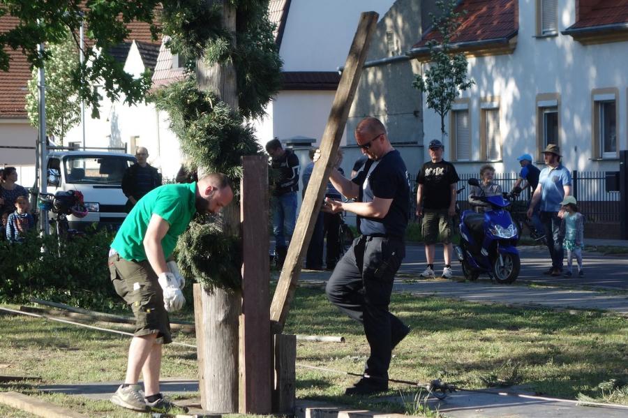 Foto des Albums: Maibaumstellen 2018