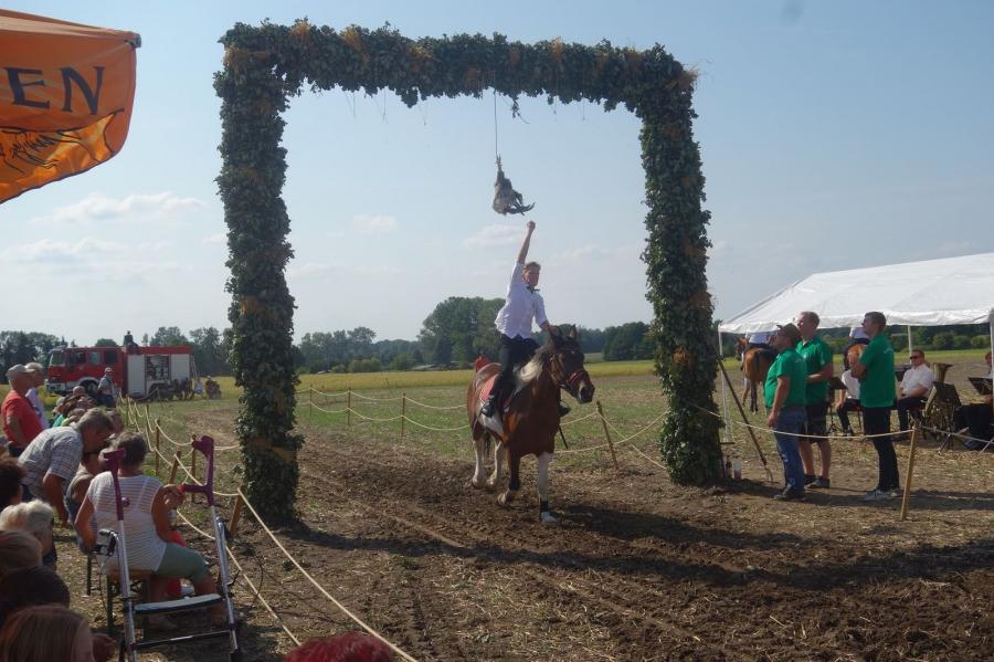Foto des Albums: Erntefest 2018