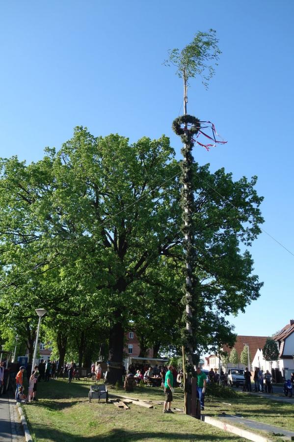Maibaumstellen 2018