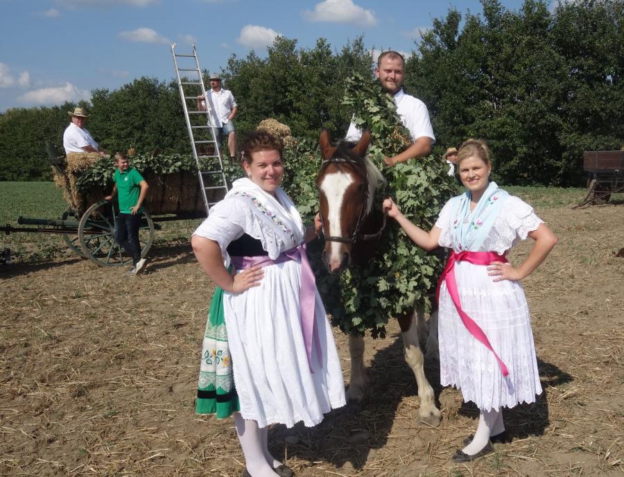 Foto des Albums: Erntefest 2018