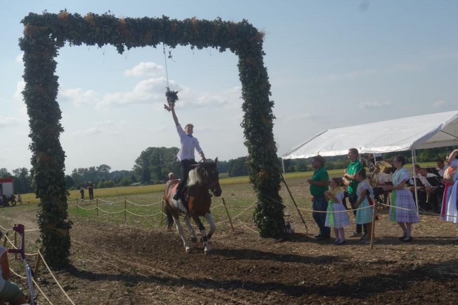 Foto des Albums: Erntefest 2018